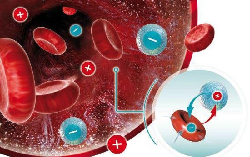 5 фактов о своей группе крове, которые жизненно необходимо знать