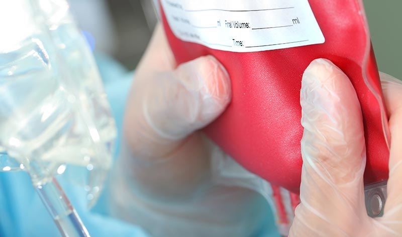 5 фактов о своей группе крове, которые жизненно необходимо знать