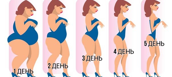 ЭТАПЫ ДИЕТЫ “ЛЕСЕНКА”